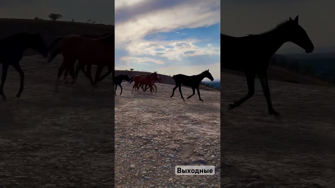 interesting weekend смотреть онлайн