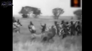 Лев против человека. Охота на льва