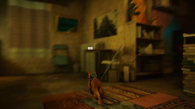 КАК НАЙТИ ВСЕ ДНЕВНИКИ прохождение - Stray  #2   ( #stray #gaming #straygame )