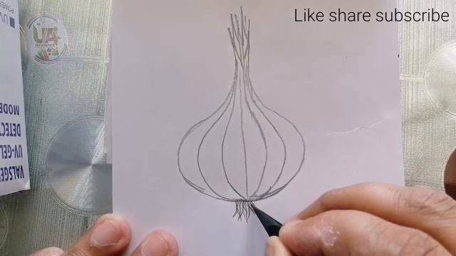 garlic easy drawing sketch step by step || easy garlic Drawing 2022||vegetable drawing sketch смотреть онлайн