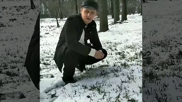 Первый снег укрывает все до весны ....mp4 смотреть онлайн