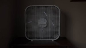 ►10 hours of Box Fan White Noise | Sounds for Sleeping (Medium Speed) with Cute Kitten, Window Fan