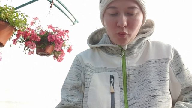 Тепличные будни смотреть онлайн