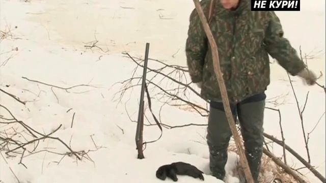 Охота на норку капканом. Ловля ондатры мордушкой - 2021г смотреть онлайн