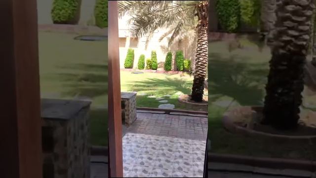 Palma Beach Resort, Umm Al Quwain #vlog #staycation #uae смотреть онлайн