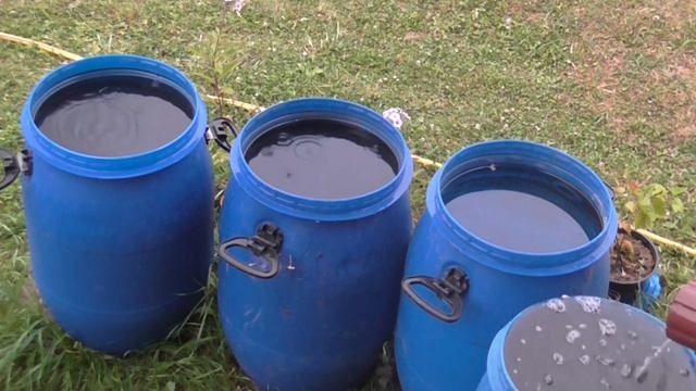 МОЛНИЯ ПОДОЖГЛА... КЛИП "ЛЕТНЯЯ ГРОЗА" смотреть онлайн