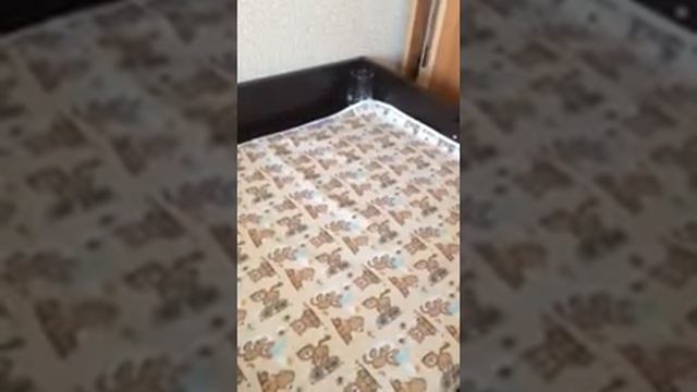 Непромокаемая пелёнка GlorYes! Обзор. смотреть онлайн