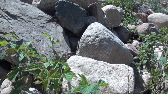 Камень циркон и признаки метеорита смотреть онлайн