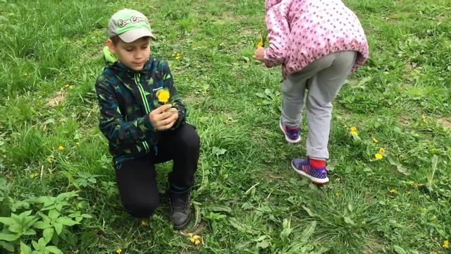 Букет весенних цветов в HD Bouquet of spring flowers 2017 смотреть онлайн