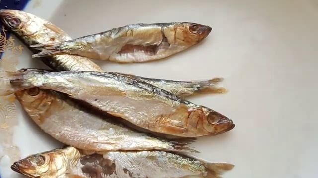 Килька холодного копчения обзор.Килька холодного копчения очень вкусно смотреть онлайн
