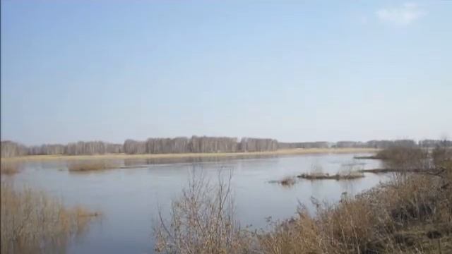 Малая Родина смотреть онлайн