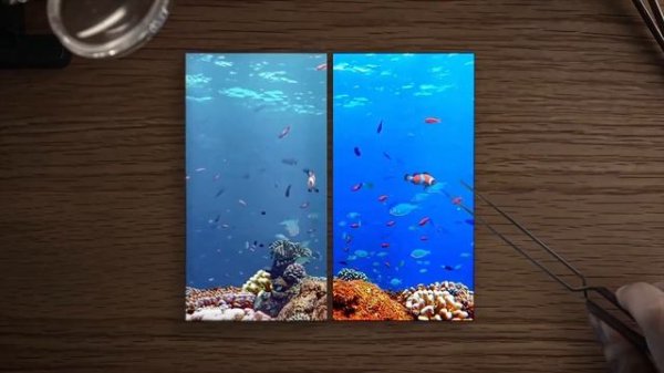 Экраны IPS и AMOLED Что лучше？ ⧸ Все достоинства и недостатки!Экраны IPS и AMOLED Что лучше? / Все д