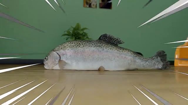 MULTI-FISH DRIFTING? IMPOSSIBLE смотреть онлайн
