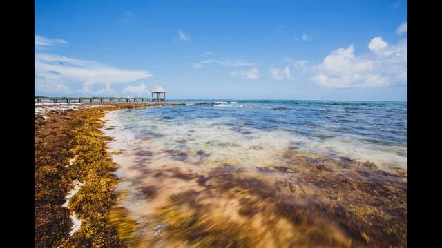 Красивая Расслабляющая Музыка смотреть онлайн