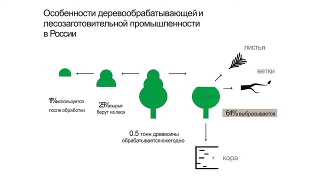 Выступление Марины Турлай на Sustainable Design Meetup смотреть онлайн