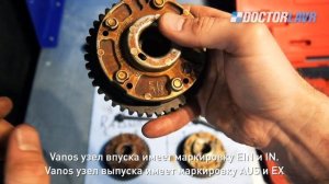 BMW n62 V8 и регулировка ГРМ