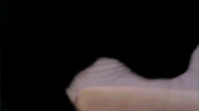 Джек Рассел учится команде сидеть/команда сидеть смотреть онлайн