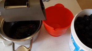 ДЖЕМ из ЕЖЕВИКИ
