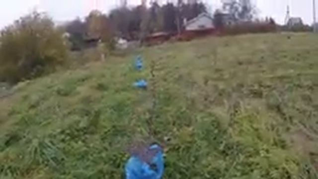 Деревня Соснино (посадка деревьев) (часть 2)