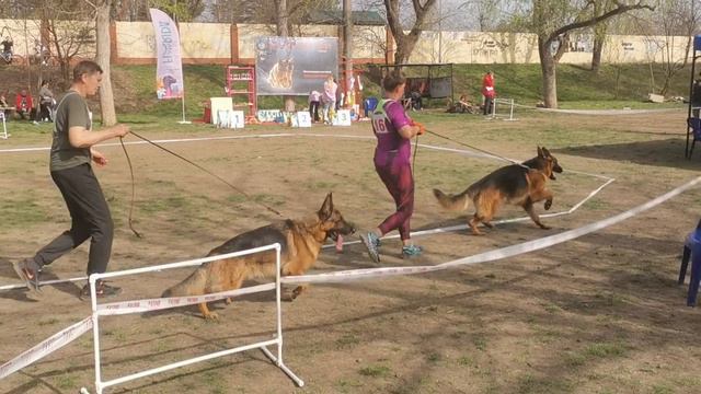 Рабочие кобели 4