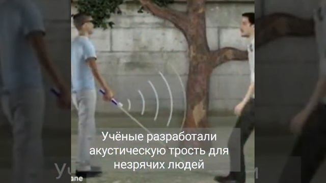 Эхолокация летучих мышей смотреть онлайн