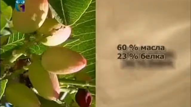 Фисташка смотреть онлайн