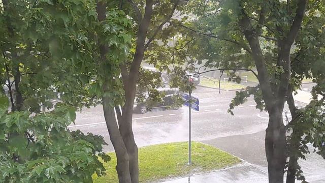 МОСКВА. 3 июня 2022. ДОЖДИ почти целый месяц, а через день точно. Хочется солнышка, погреться смотреть онлайн