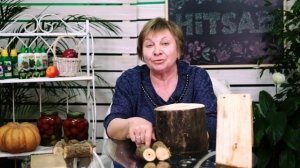 Муравьи на даче и полезные насекомые для сада -  дачные советы  хитсад тв.