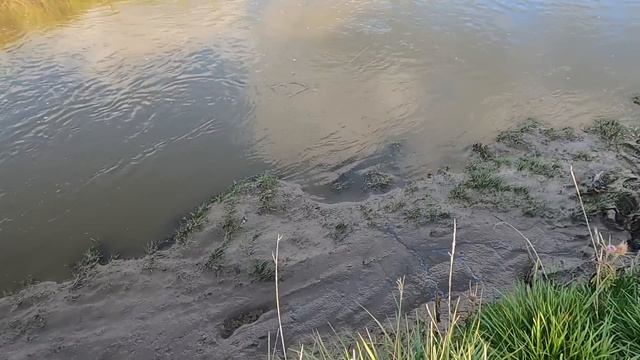 PESCA DE ARROYO GRANDES CAPTURAS смотреть онлайн