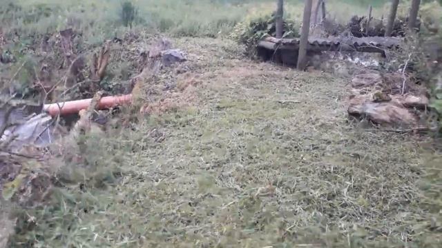 ТЁЩА В ГОСТЬЯХ.84 смотреть онлайн