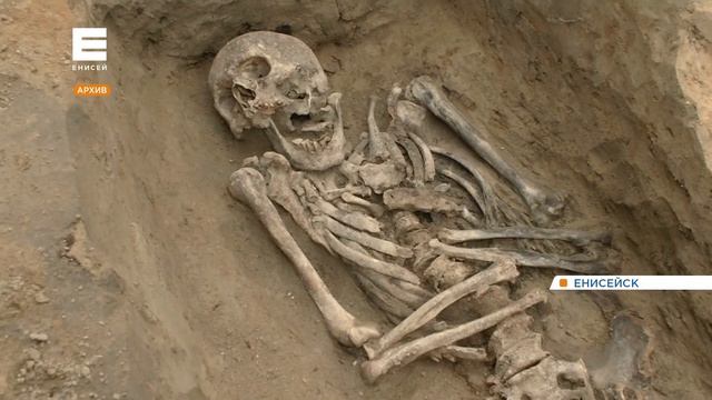 В Енисейске при раскопках найдены кости сотен человек смотреть онлайн