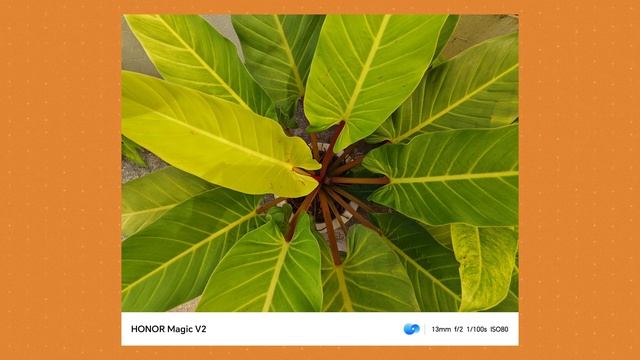 Honor Magic V2: Hands-On Review смотреть онлайн