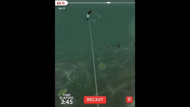 Rapala Fishing - Daily Catch Gameplay - iOS/Android смотреть онлайн
