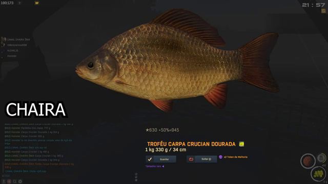 RÚSSIA R. PRA FISHER ONLINE TROFÉU, CEVA GANHANDO DINHEIRO E XP смотреть онлайн