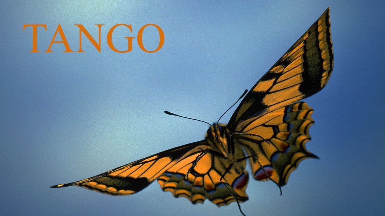 Tango 