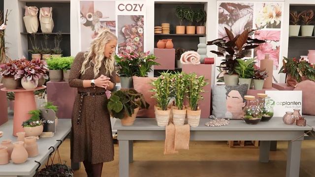 Workshop video 'Passion for Colourblocking' OZ Planten & Hanneke Kauffmann - Español смотреть онлайн