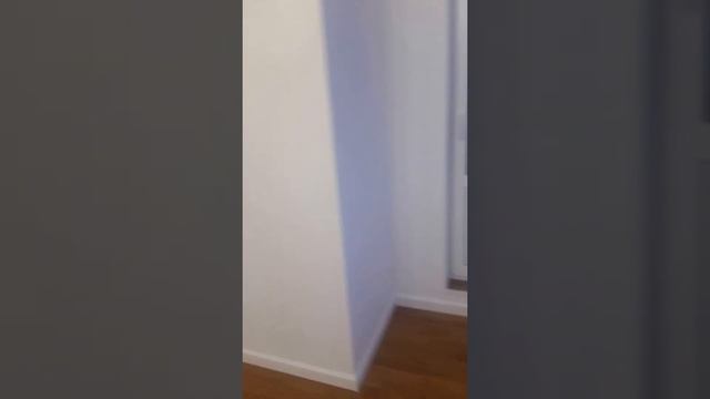 ремонт квартир Санкт-Петербург смотреть онлайн