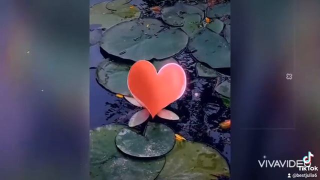 РАЗДЕТАЯ #анилорак @anilorak смотреть онлайн