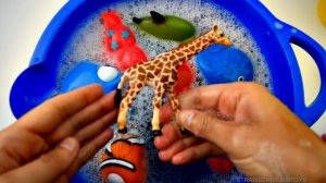 Learn Sea Animal and Zoo Animals Names Education Shark Video Toys For Kids