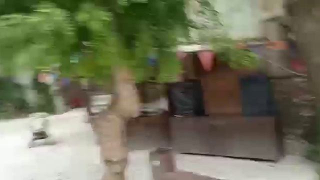 Мини экскурсия в замок "Львиная голова" Сукко смотреть онлайн