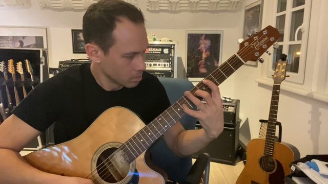 Takamine P2DC Acoustic Guitar Improvisation by Daniel Fries смотреть онлайн