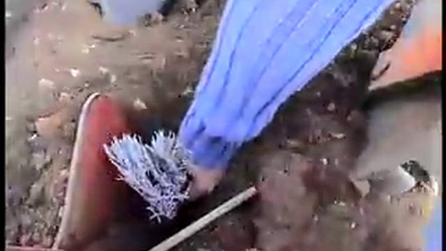 Young Living Lavender Farm in Simiane France смотреть онлайн