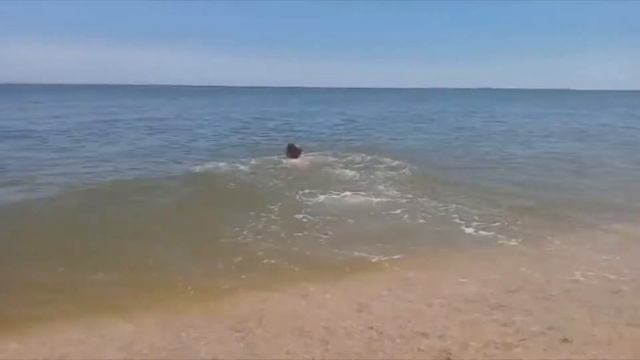 Поздравление тренера Сафонова А.В. от воспитанников с Днём рождения. смотреть онлайн