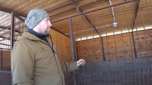 Как сделать вольер для собаки своими руками, чертеж с размерами.