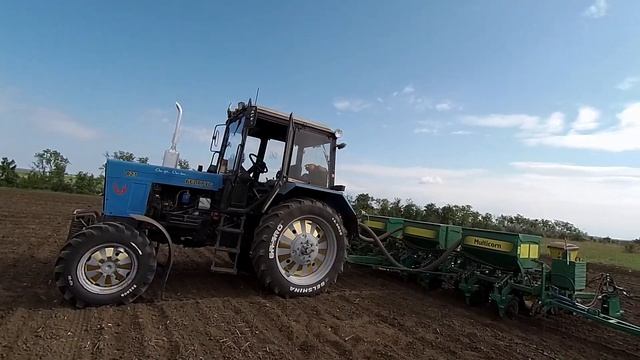 Ну всё ... ДОСЕЯЛИСЬ... смотреть онлайн