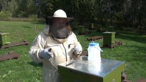 ЭКОПОЛ + БИСАНАР. Осенняя обработка пчёл против клеща Варроа.