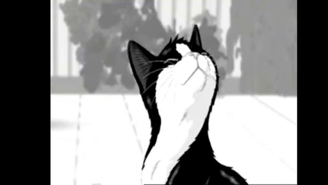 Все Рекламы Felix Part 19 смотреть онлайн