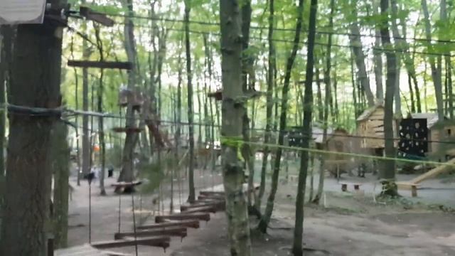 Светлогорск "Парк Янтарного Периода" (пос. Отрадное) смотреть онлайн