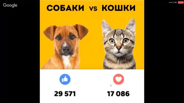 Собаки или кошки – кто лучше? Ставьте "?", если вы за собак, и "❤", если за кошек! смотреть онлайн