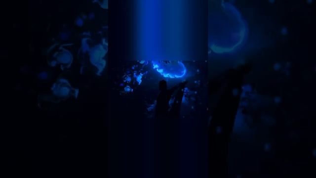 Окрашивание Аиртач/Airtach , техника,  тонирование , рецепт.